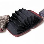 cardcase-Bellows